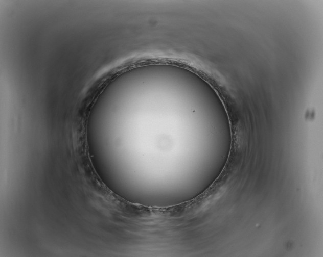 X0000101181494200807111103