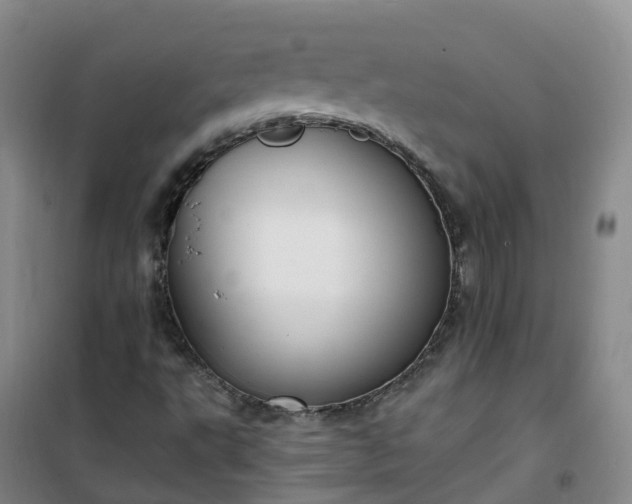 X0000101181495200807111103