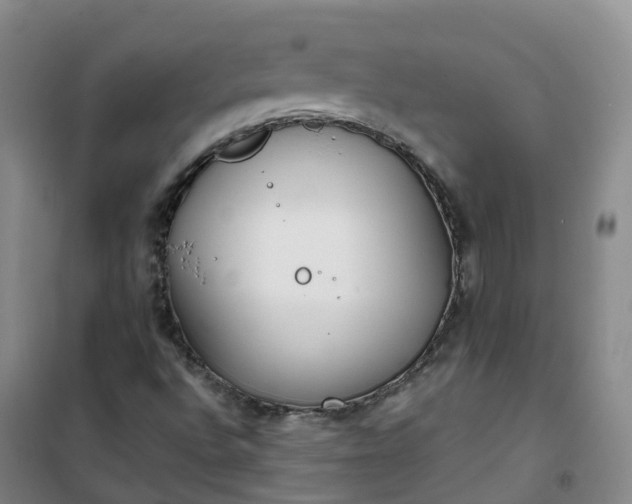 X0000101181496200807111103
