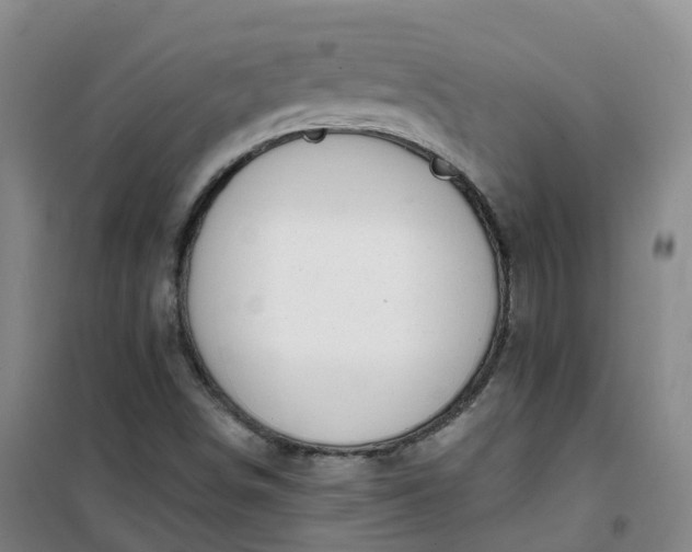 X0000101181498200807111103