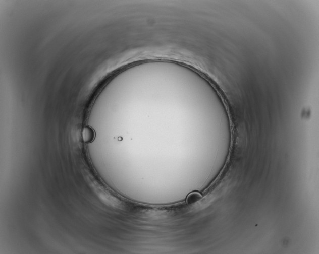 X0000101181499200807111103