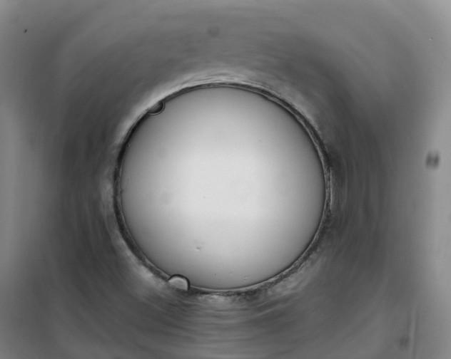X0000101181500200807111103