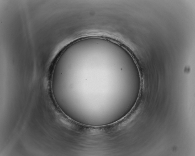 X0000101181501200807111103