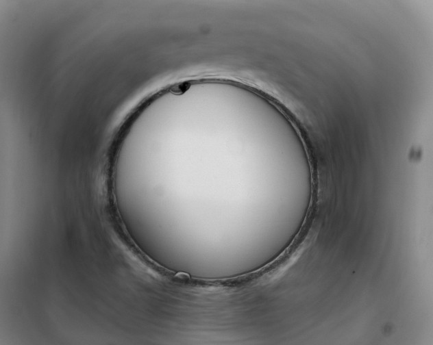 X0000101181502200807111103