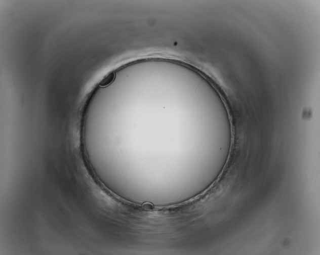 X0000101181504200807111103