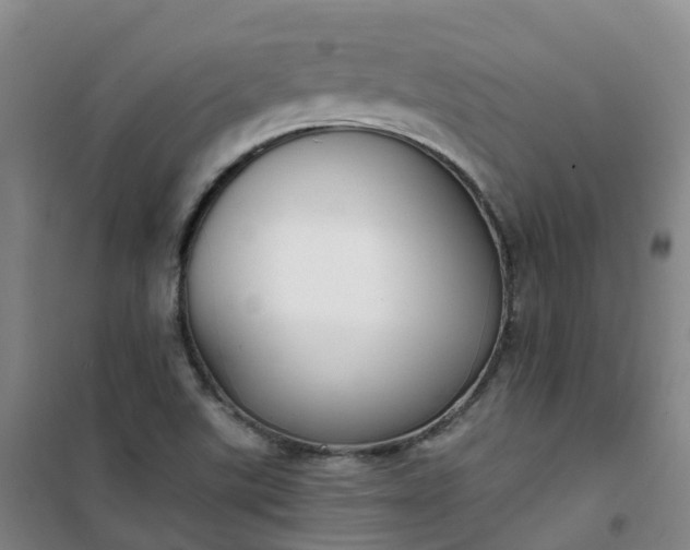 X0000101181507200807111103
