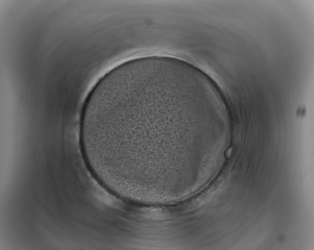 X0000101181508200807111103