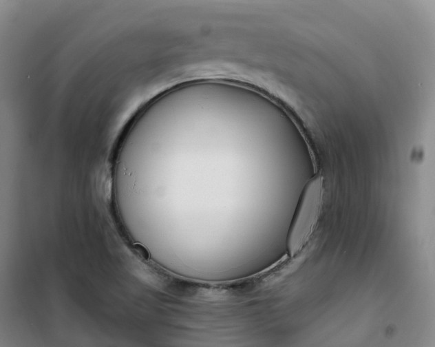 X0000101181509200807111103