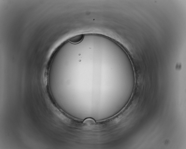 X0000101181510200807111103