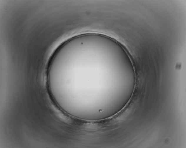 X0000101181511200807111103
