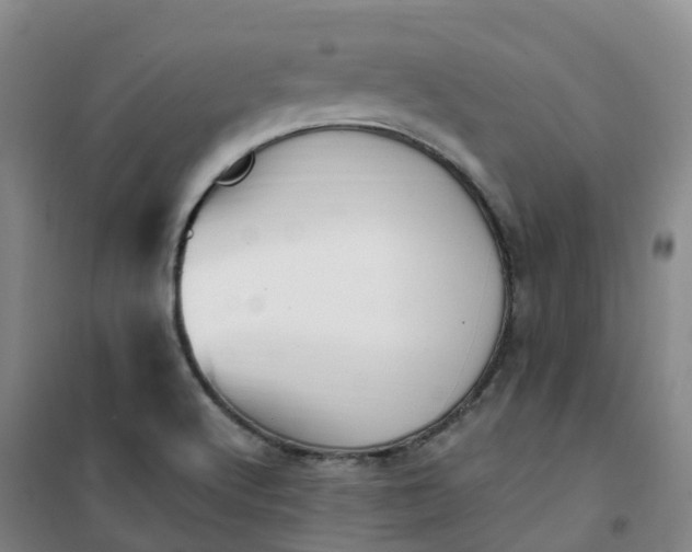 X0000101181512200807111103