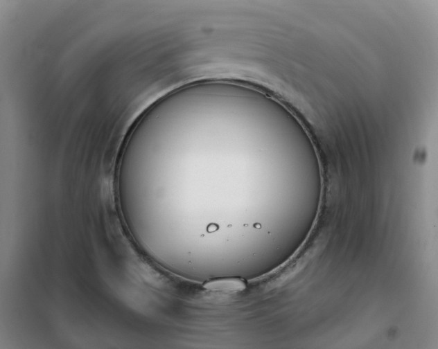X0000101181513200807111103