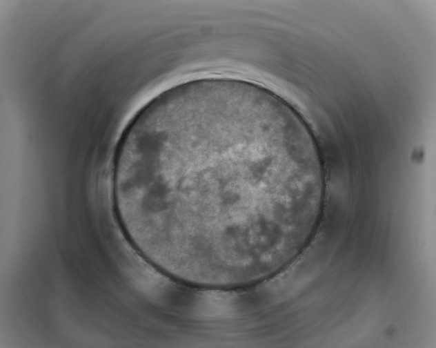 X0000101181514200807111103