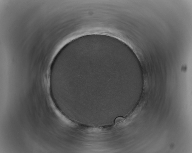 X0000101181515200807111103