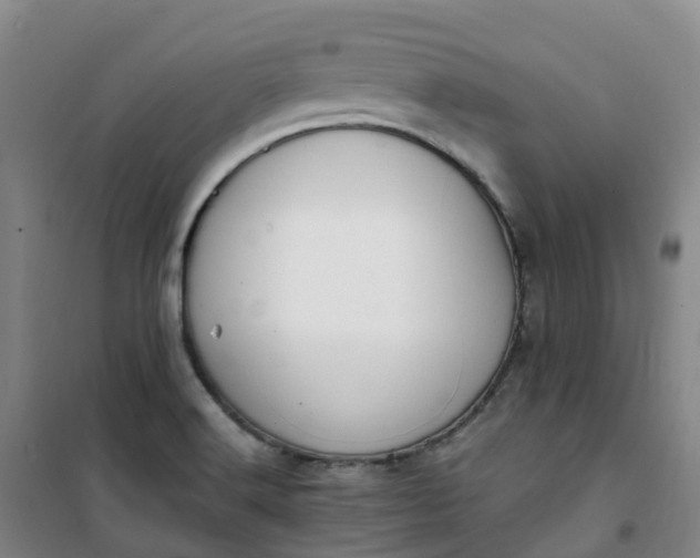 X0000101181516200807111103