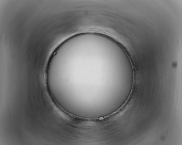 X0000101181517200807111103