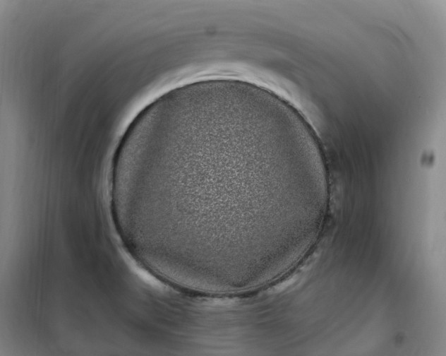 X0000101181519200807111103