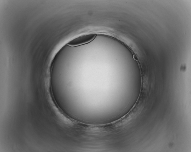 X0000101181520200807111103