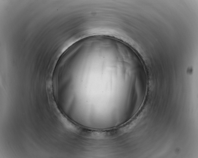X0000101181521200807111103