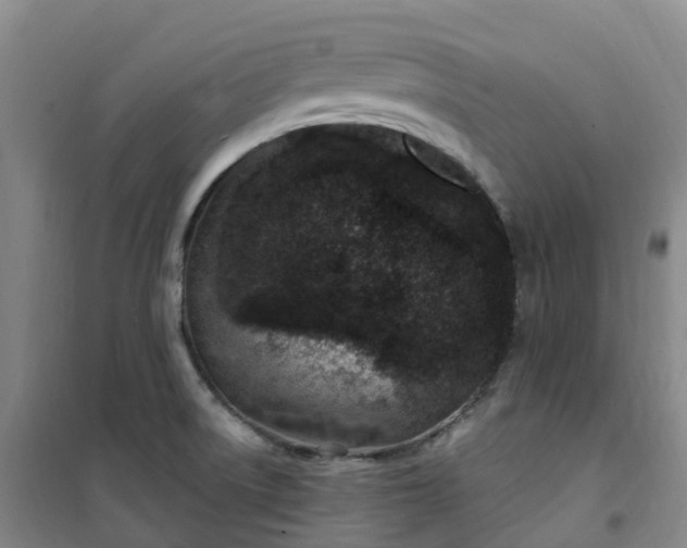 X0000101181522200807111103