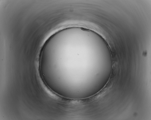X0000101181523200807111103