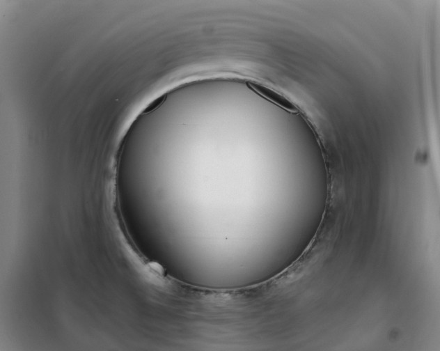 X0000101181524200807111103