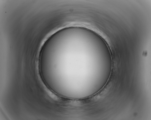 X0000101181525200807111103
