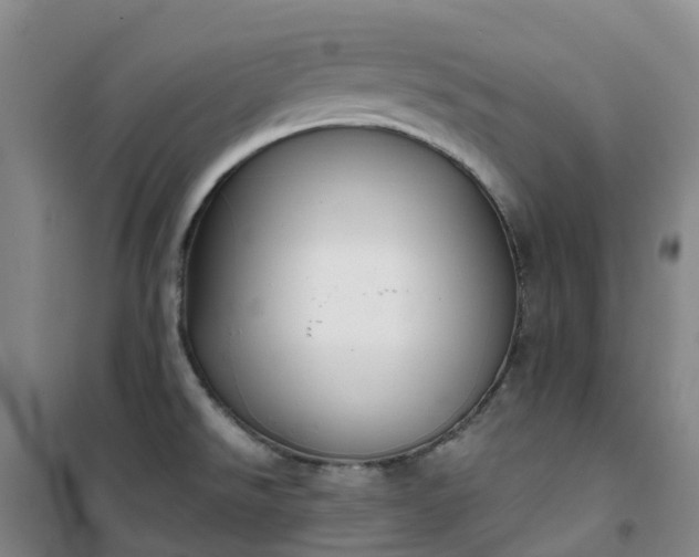 X0000101181526200807111103