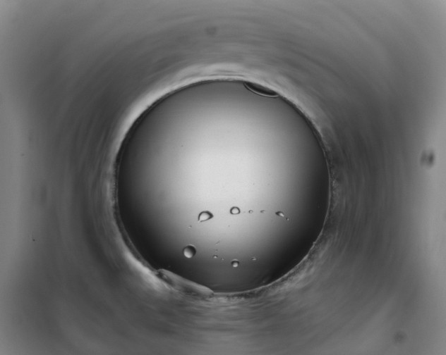 X0000101181527200807111103