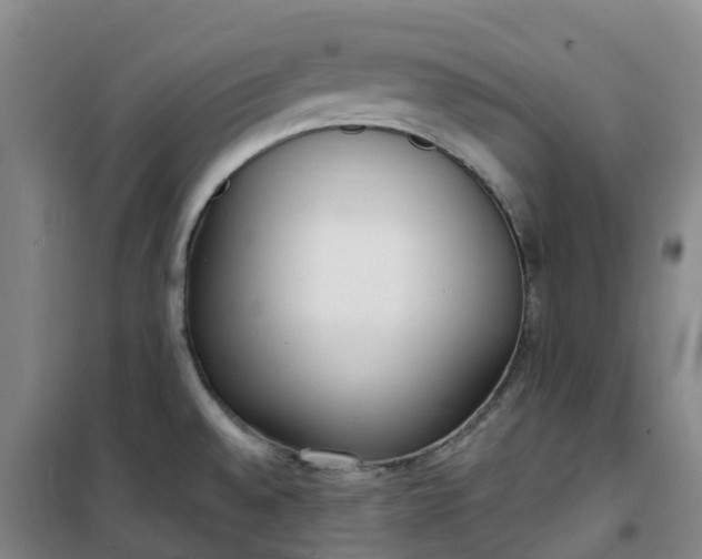 X0000101181528200807111103