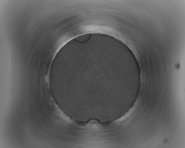 X0000101181529200807111103