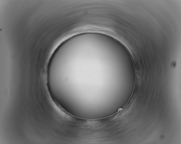 X0000101181531200807111103