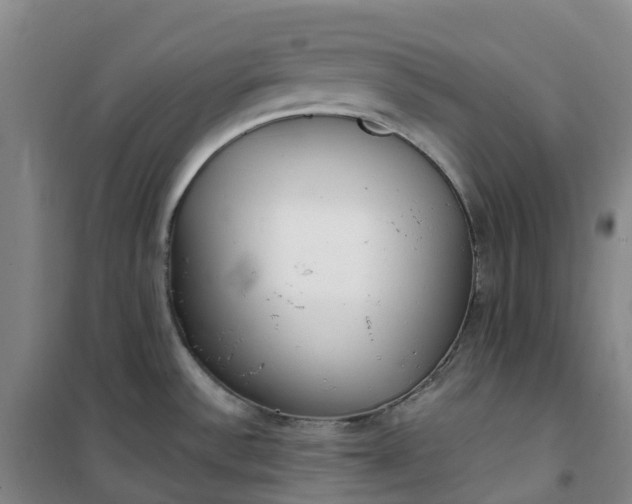 X0000101181532200807111103
