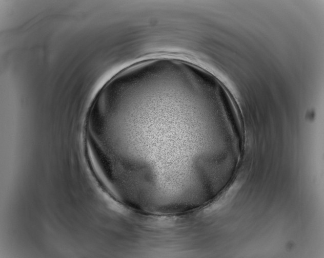 X0000101181533200807111103