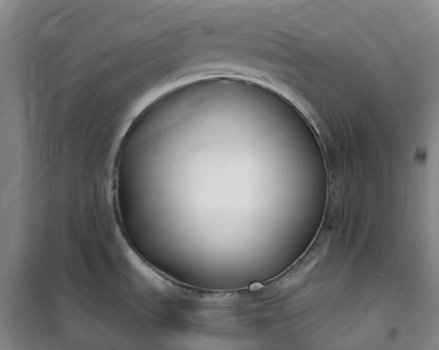 X0000101181535200807111104
