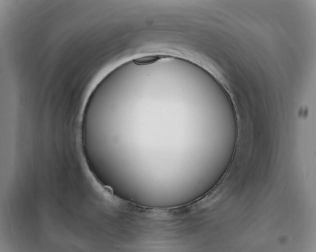X0000101181536200807111104