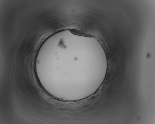 X0000101180001200807181458