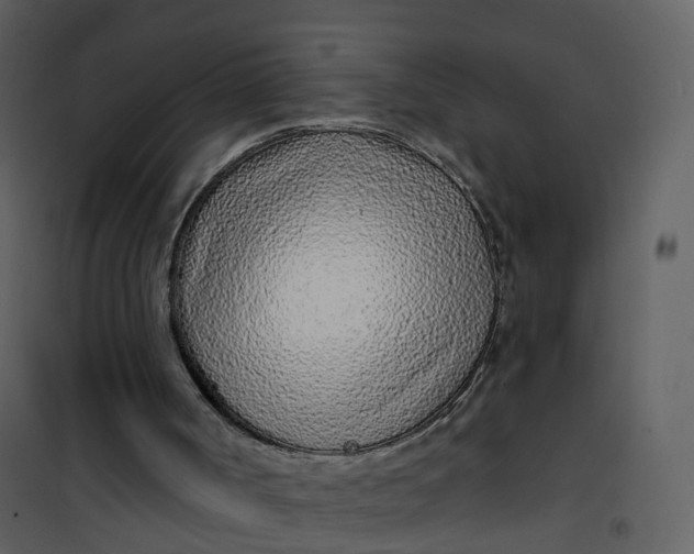 X0000101180002200807181458