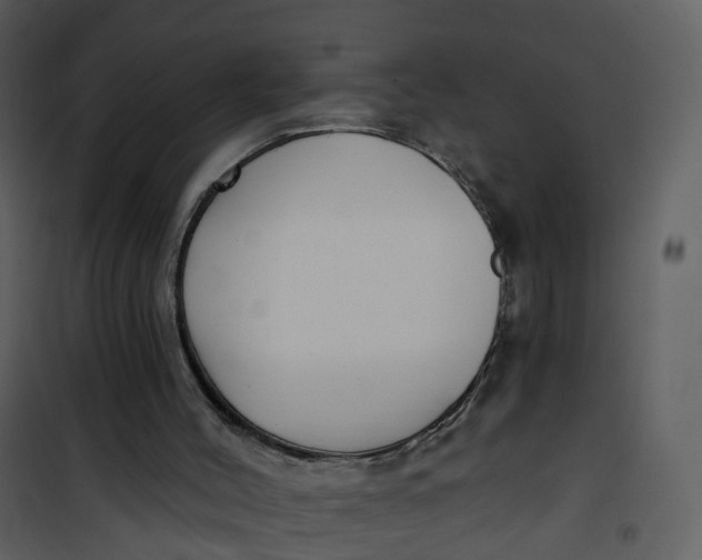 X0000101180004200807181458