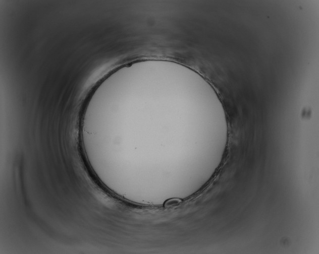 X0000101180005200807181458