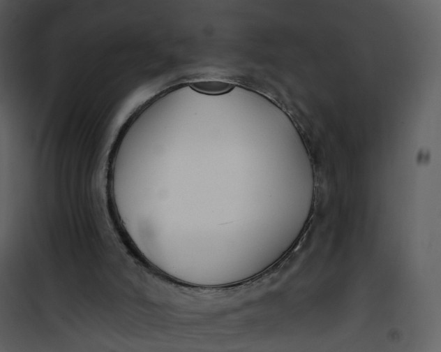 X0000101180006200807181458