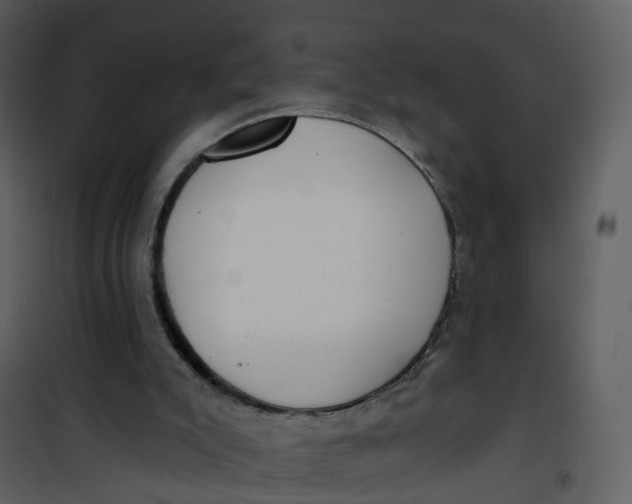 X0000101180007200807181458