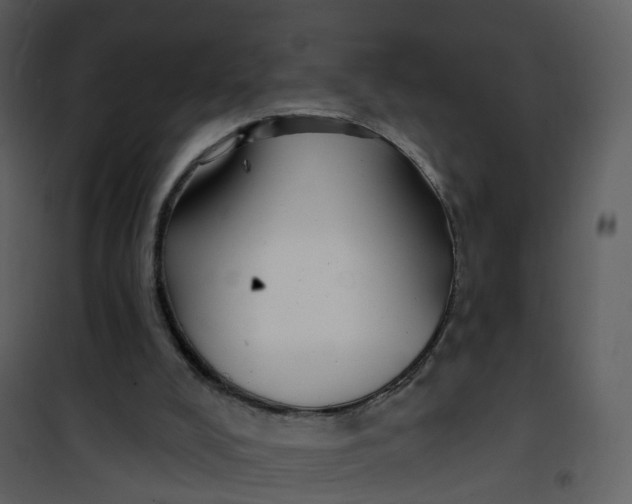 X0000101180008200807181458