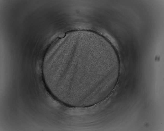 X0000101180009200807181458