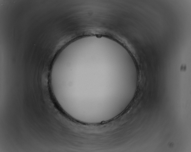 X0000101180010200807181458