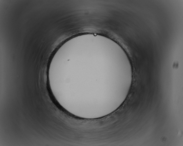 X0000101180011200807181458