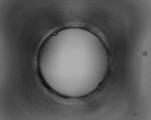 X0000101180012200807181458