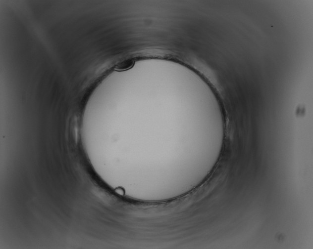 X0000101180013200807181458