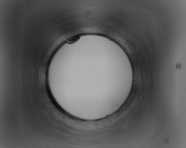 X0000101180015200807181458