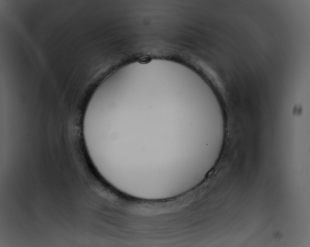 X0000101180017200807181458